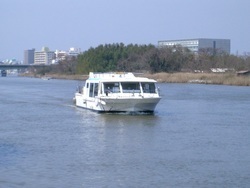 宍道湖遊覧　はくちょう号