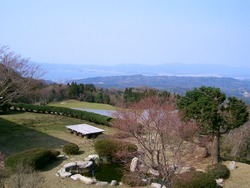 ビューポイント