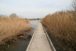 斐伊川にかかる小さな橋
