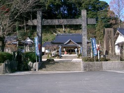 菅原天神梅の木さん