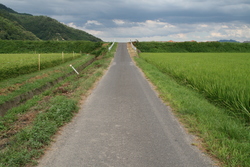 大社　遥堪地区の田園風景②