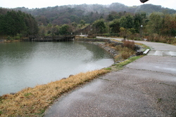荒神谷遺跡公園のため池①