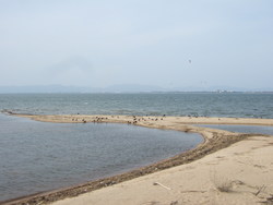 新飯島橋を見る