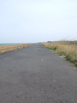 堤防　中海干拓地②　