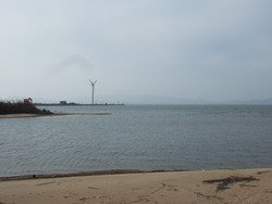 新飯島橋を見る