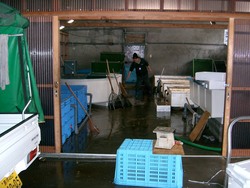 十六島（うっぷるい）漁港