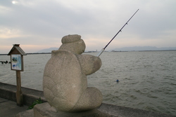 宍道湖の亀とたぬき